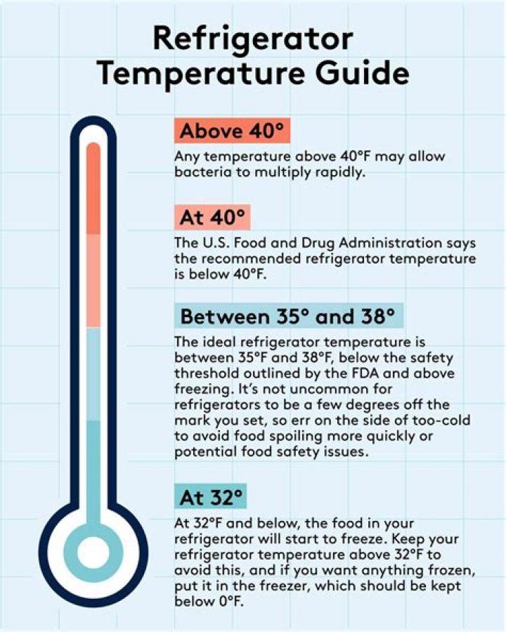 What temperature should you keep maggots?