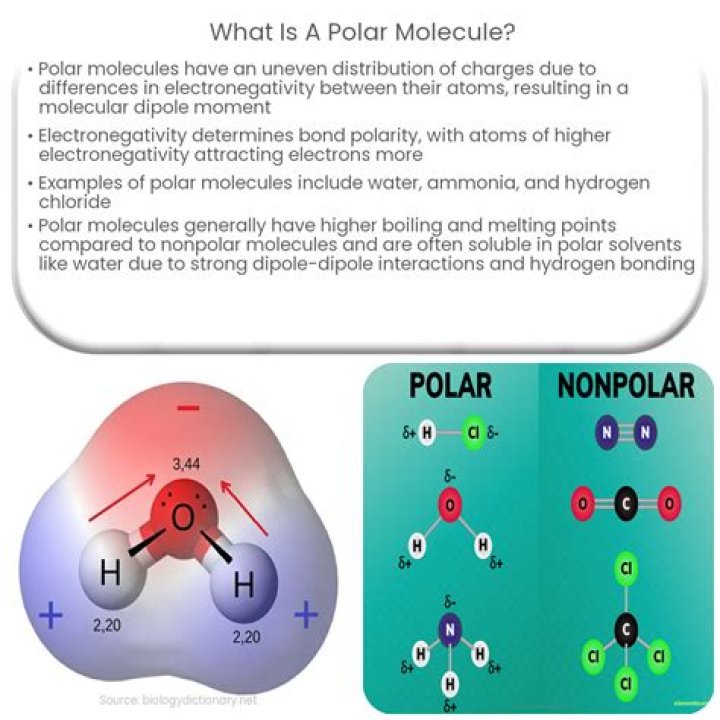 What two things make a molecule polar?