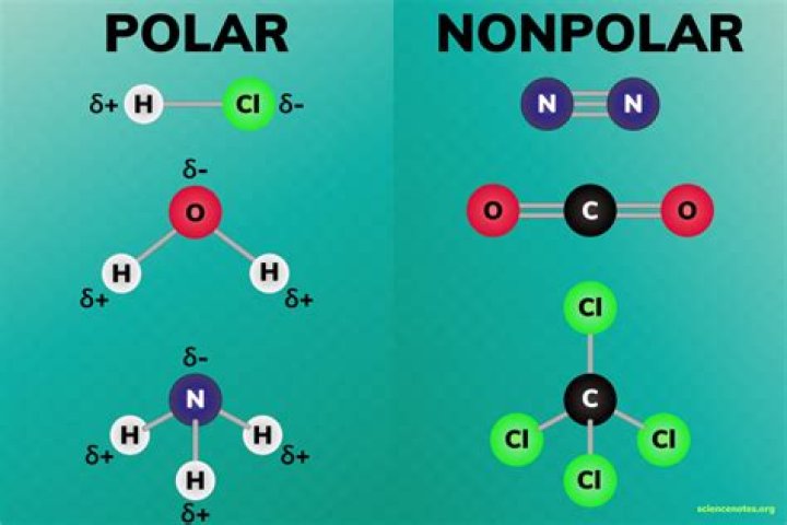 What type of bond is co2 polar or nonpolar?