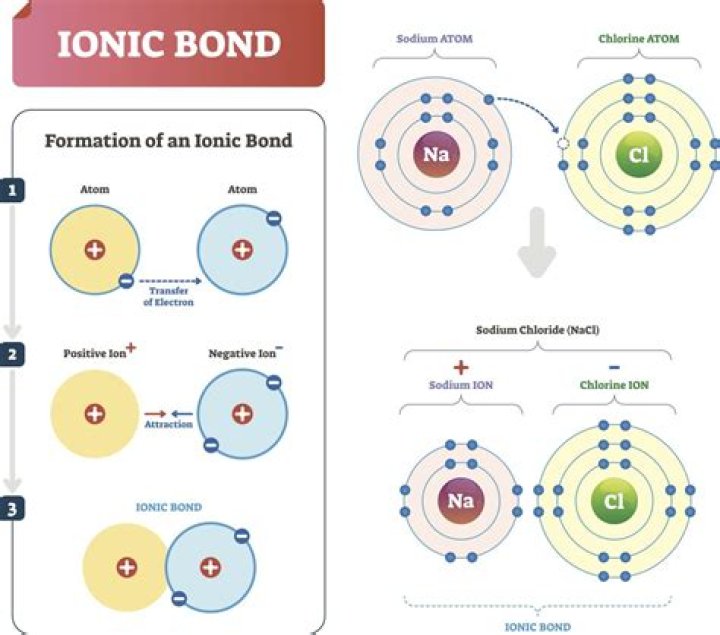 What type of bond is zinc chloride?