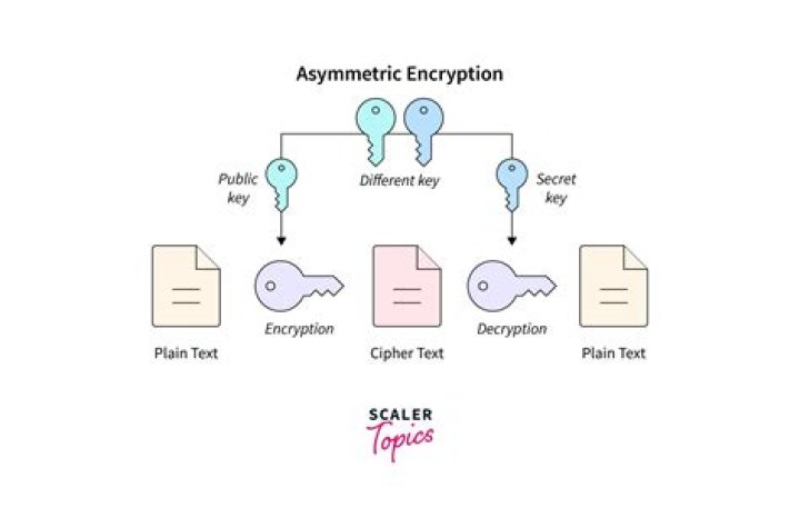 What type of encryption does Office 365 use?