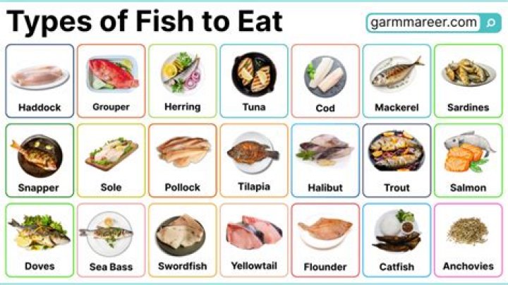 What type of fish do squid eat?