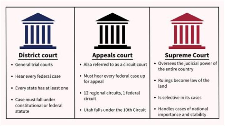 What types of cases do federal courts have exclusive jurisdiction over?