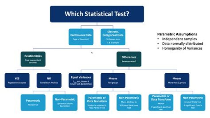 What types of statistics are used in psychological research?