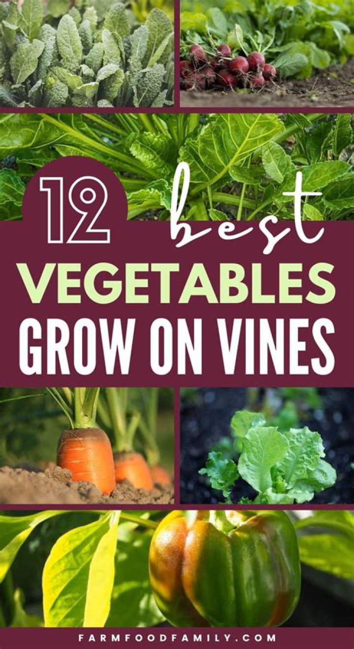 What vegetables grow on stalks?