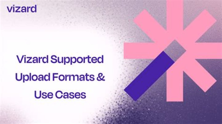 What video formats does Vizio USB support?