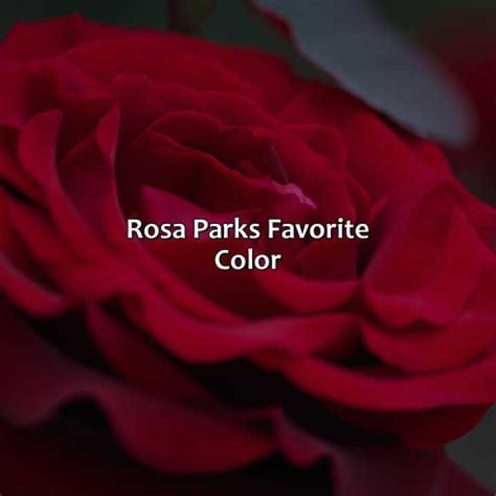 What was Rosa Parks favorite music?