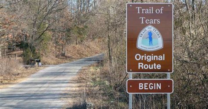 What was the result of the Trail of Tears quizlet?