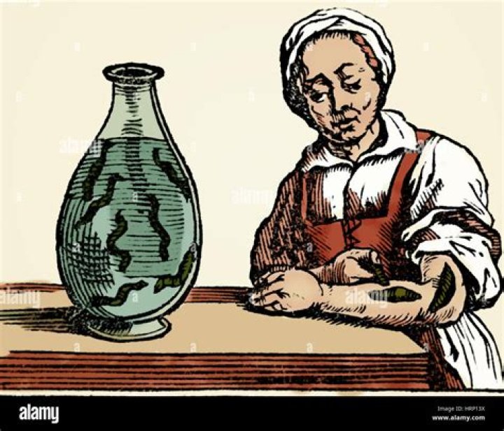 What were leeches used to treat in the past?