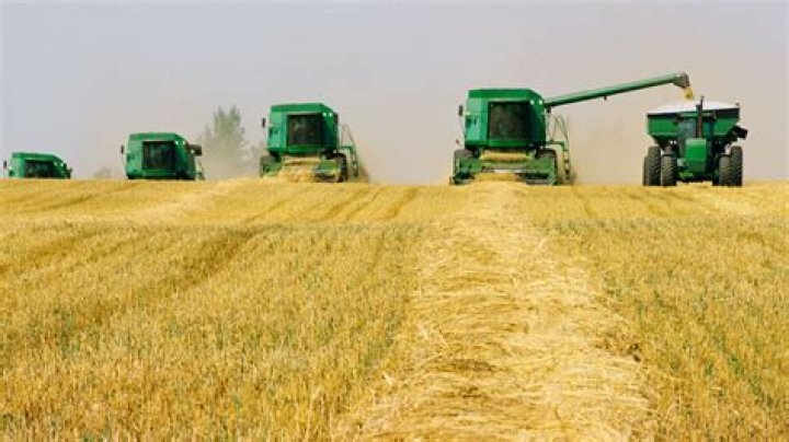 What were the major achievements of the Green Revolution?