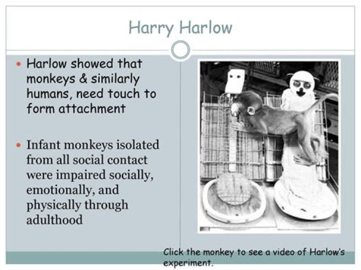 What were the results of Harlow's monkey study?