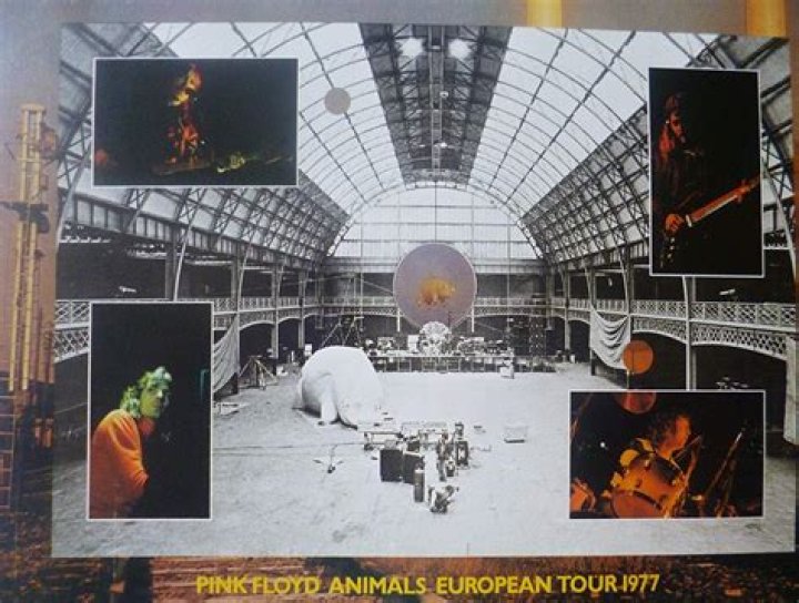What year was the Pink Floyd Animals tour?