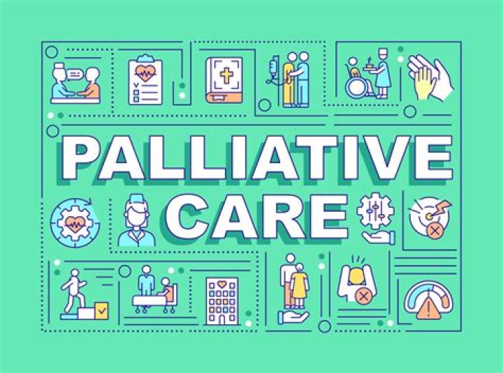 Whats palliative care mean? | ContextResponse.com
