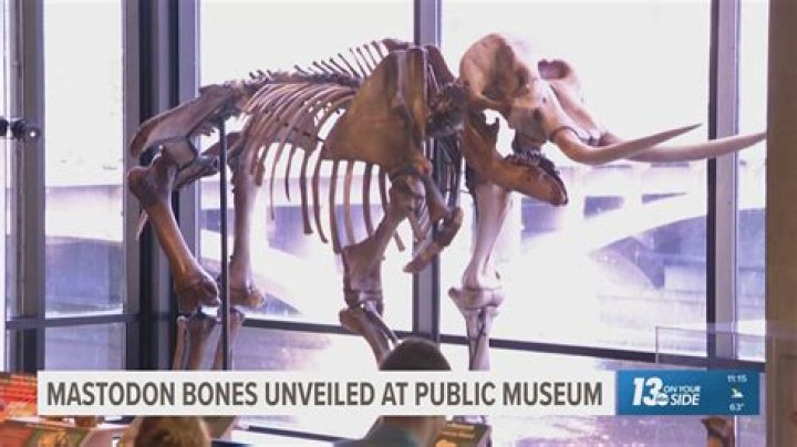 When did mastodon form?