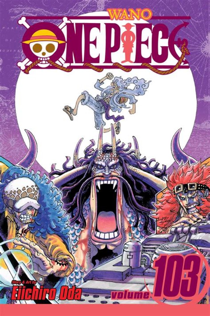 When did one piece start airing in America?