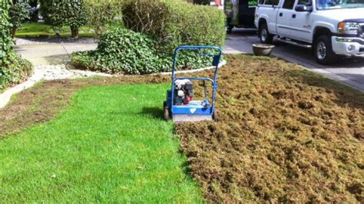 When should I reseed my lawn in California?