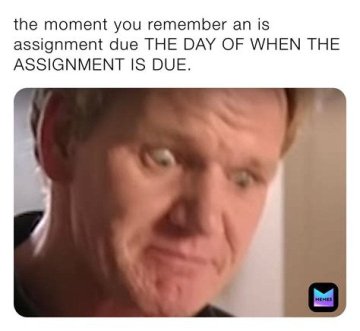 When the assignment is due?