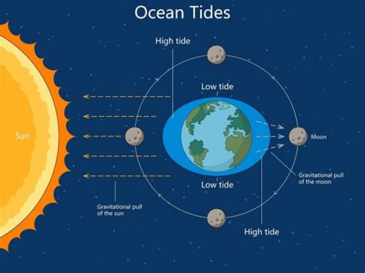 When the earth sun and moon are in a straight line what type of tides occur?