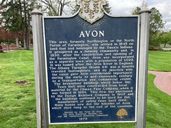 When was Avon company started?