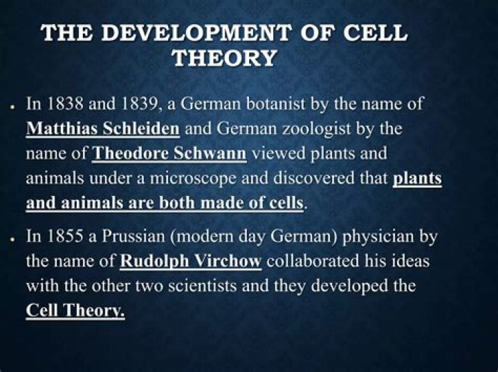 When was the modern cell theory developed?