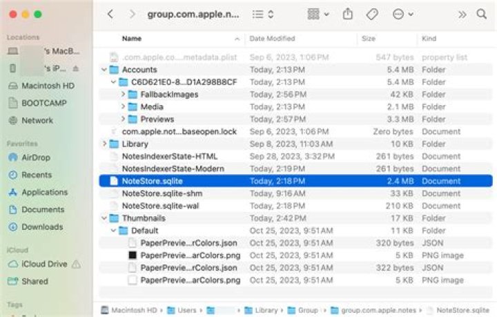 Where are Apple Mail rules stored?