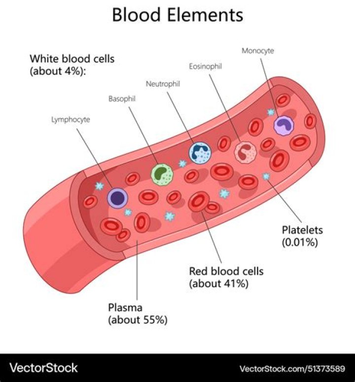 Where are the formed elements of blood produced?