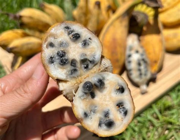 Where are the seeds of a banana?