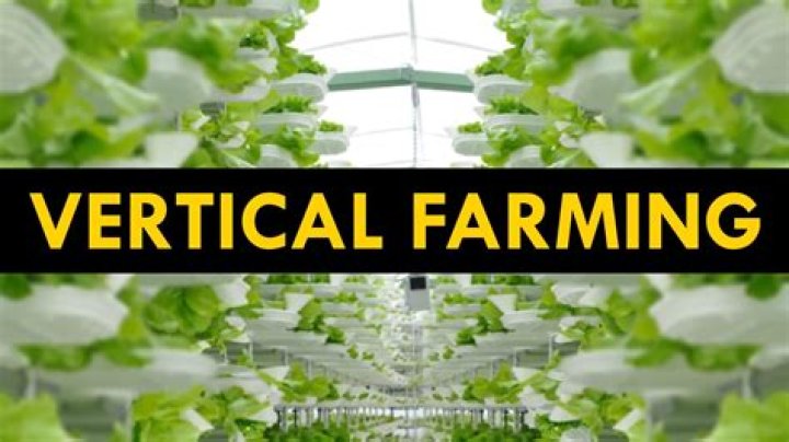 Where are vertical farms? | ContextResponse.com