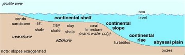 Where do terrigenous sediments accumulate Why do they accumulate here?