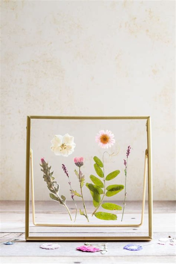 Where do you store pressed flowers?
