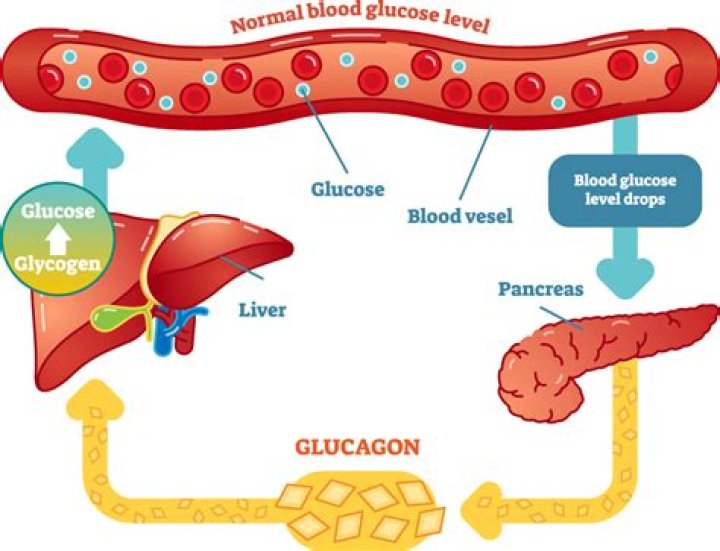 Where does glucose occur naturally?