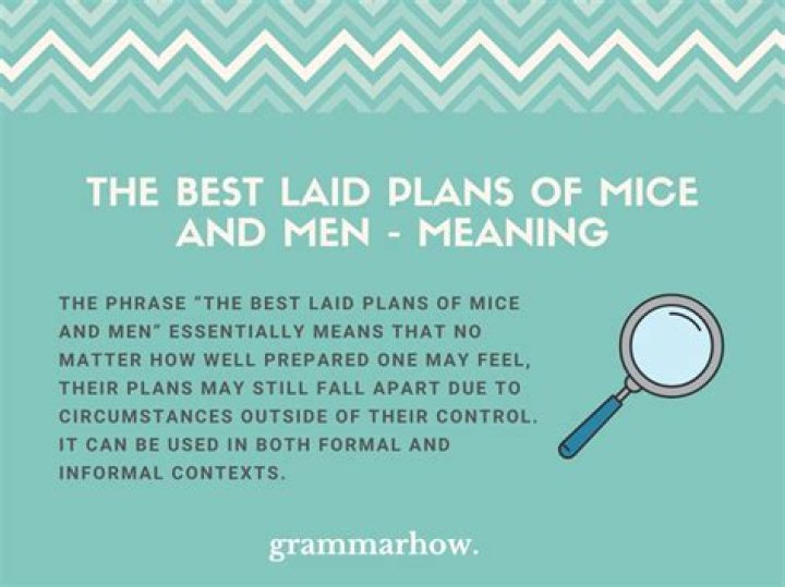 Where does the quote the best laid plans of mice and men come from?