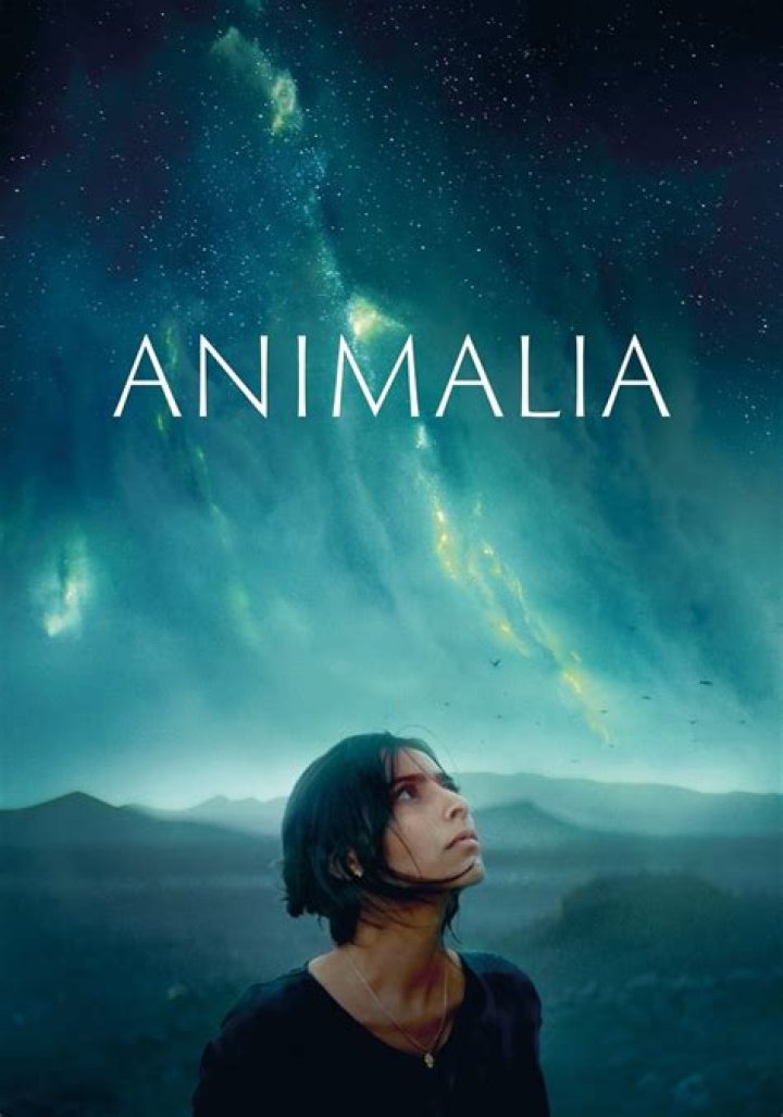 Where is Animalia? | ContextResponse.com