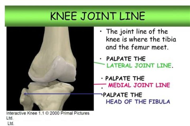 Where is the medial joint line?