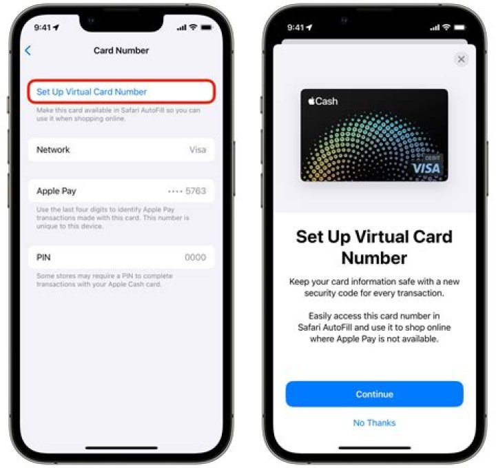 Where is wallet and Apple pay in settings?
