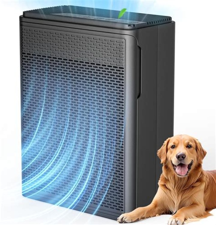 Which air purifier is best in Malaysia?