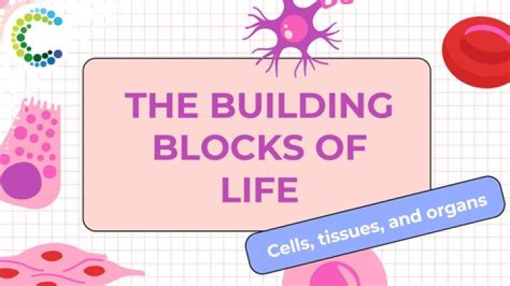 Which are the basic building blocks of life?