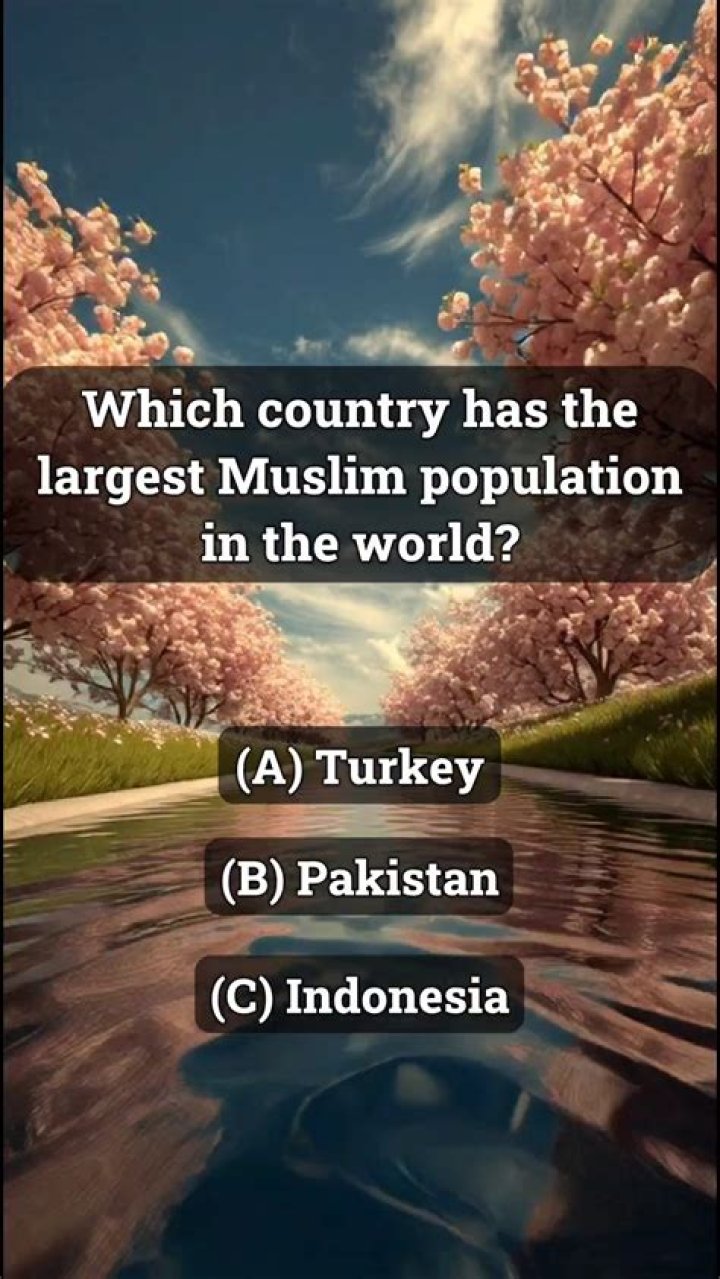 Which country is the largest exporter of cars?