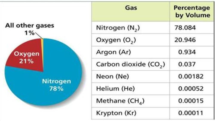 Which gas makes up most of the earth's atmosphere quizlet?