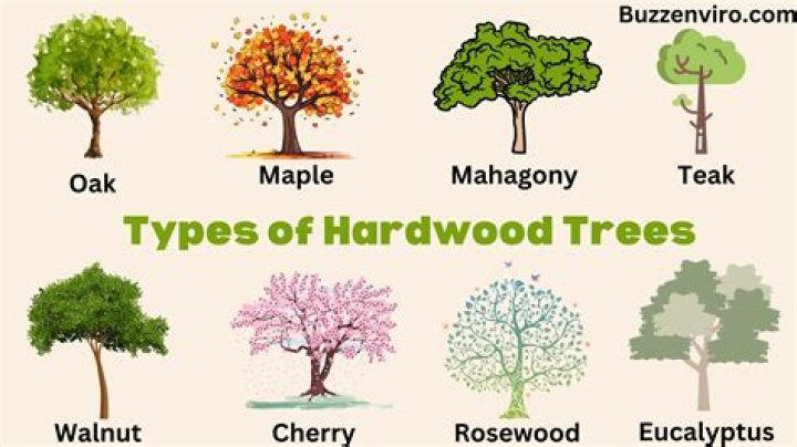 Which hardwood is least expensive?