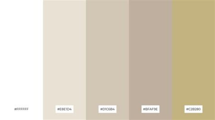 Which is beige Colour?