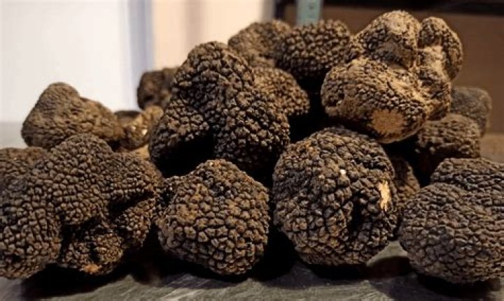 Which is more rare white or black truffles?