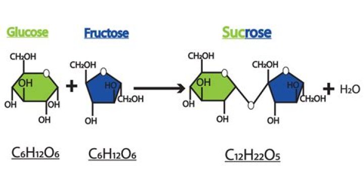 Which is sweeter glucose or sucrose?