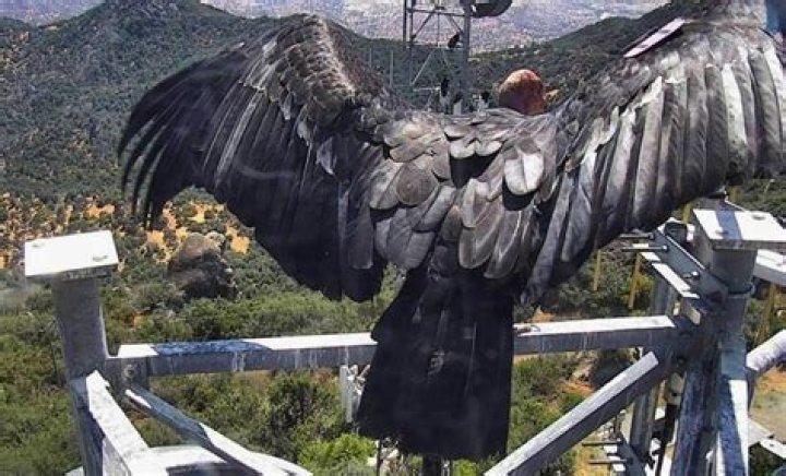 Which is the largest bird sanctuary in the world?
