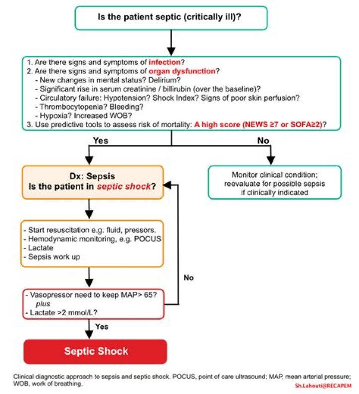 Which manifestations may indicate the onset of septic shock?