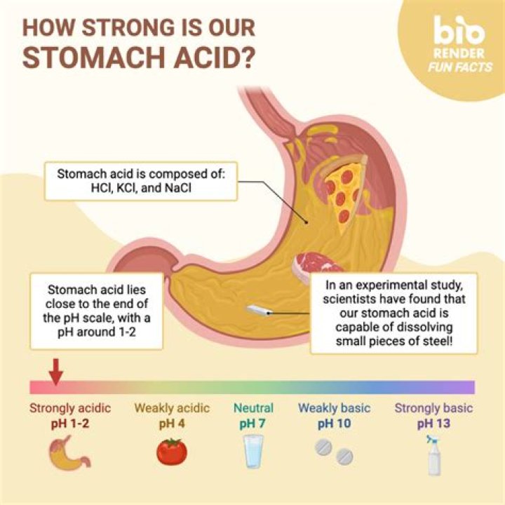 Which organic acid is strongest?