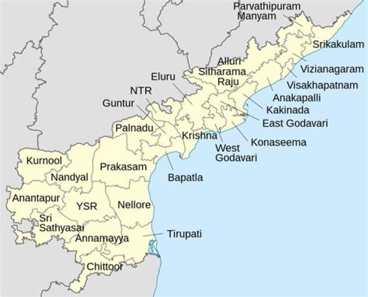 Which party wins in Andhra Pradesh?