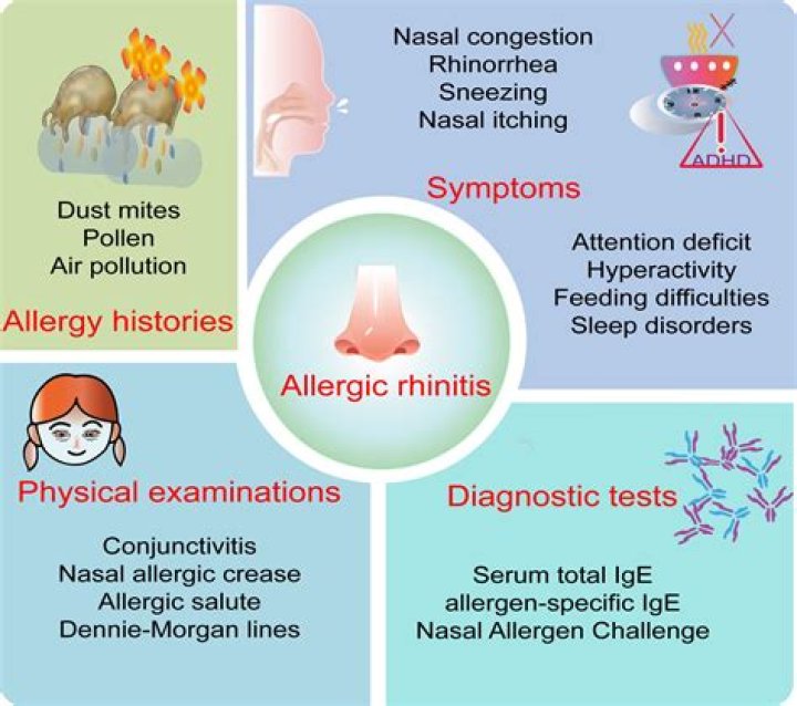 Which symptom S is are typically not associated with allergic rhinitis quizlet?