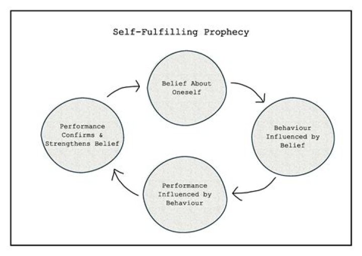 Which theory or perspective addresses the self fulfilling prophecy phenomenon?