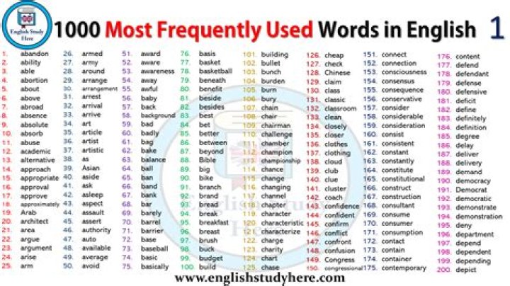 Which words are used most frequently?